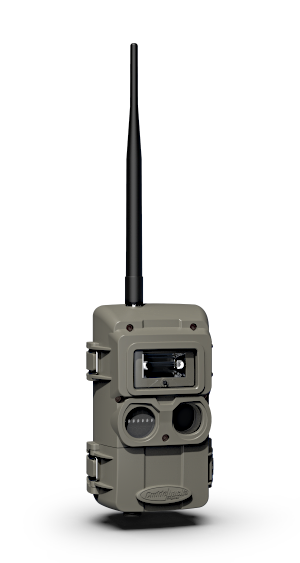 CuddeLink Strobe Image