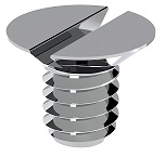 Screw (back plate for Cuddeback cameras) Image