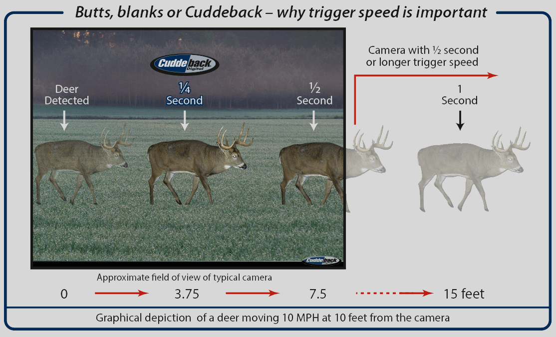 Butts, blanks or Cuddeback - why trigger speed is important. Graphical depiction of a deer moving 10MPH at 10 feet from the camera