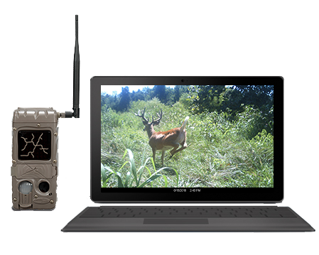 Camera and Laptop image
