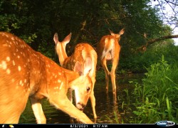 Contest Photo 1
