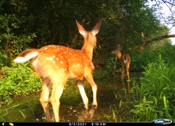 Contest Photo 2