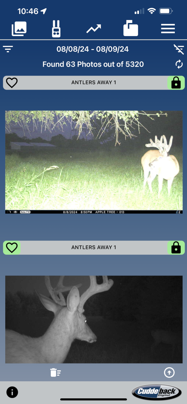 photos