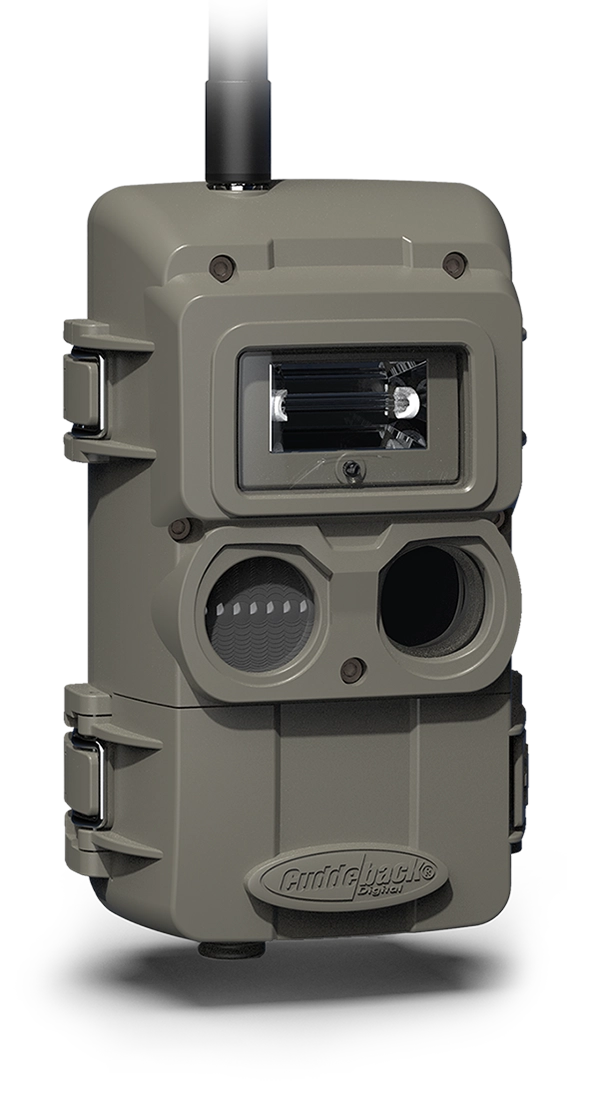 LLinkStroberigh600Prime.png Image